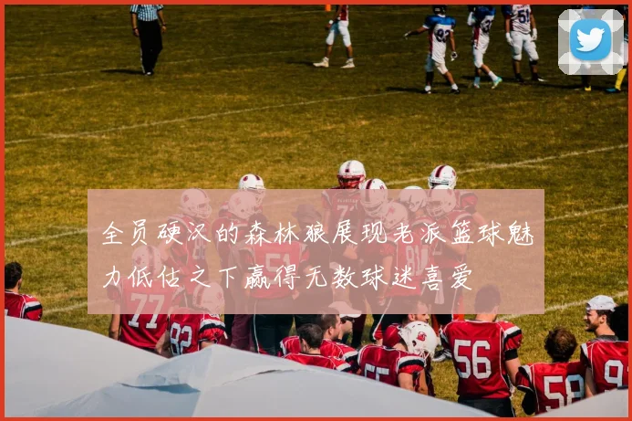 全员硬汉的森林狼展现老派篮球魅力低估之下赢得无数球迷喜爱