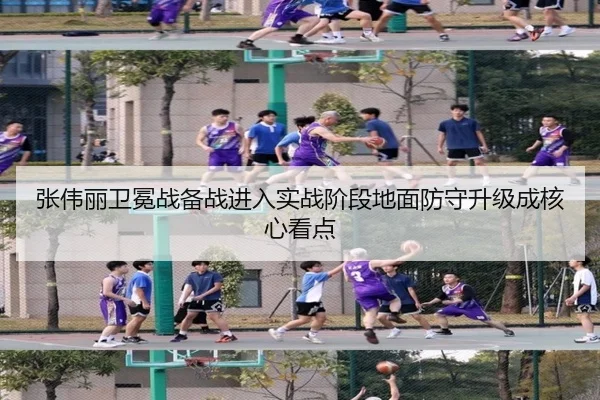 张伟丽卫冕战备战进入实战阶段地面防守升级成核心看点